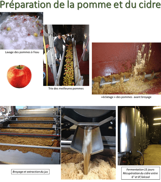 Préparation de la pomme et du cidre